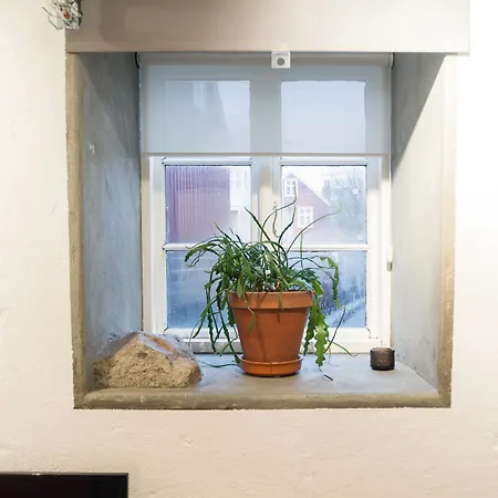 Bed & Breakfast Treasure 3*